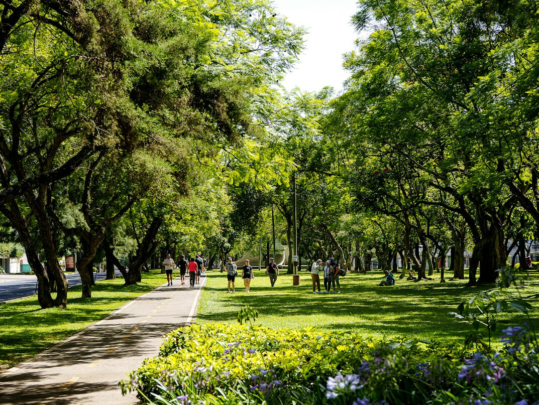 person walking in park